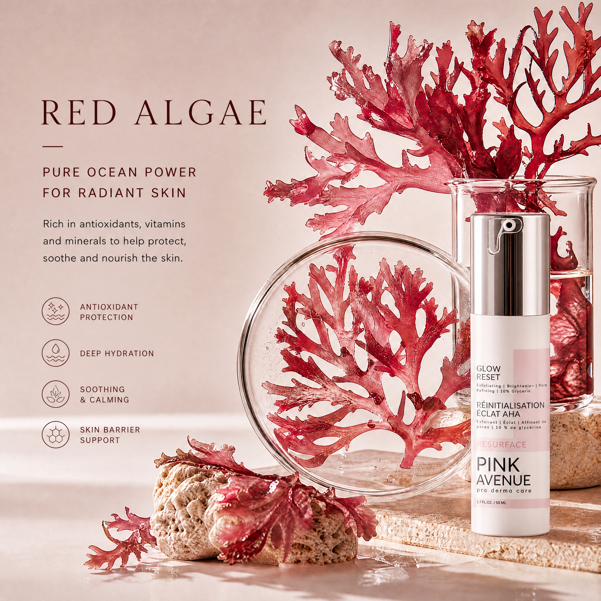 Red algae with skincare product and text about red algae benefits on a beige background