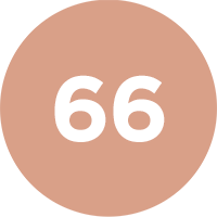 Brown circle with the number 66 in white